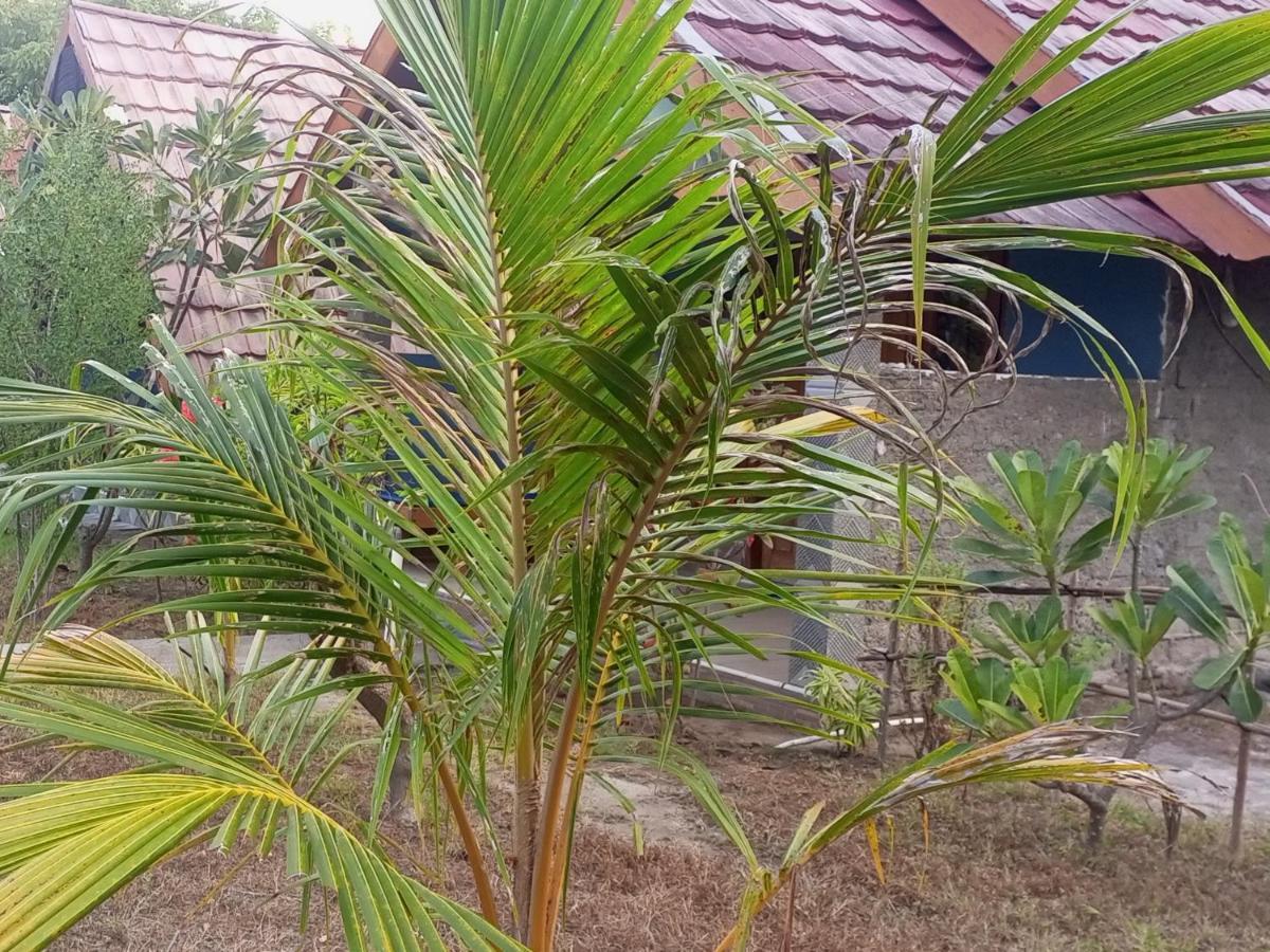 Dinoyin Bungalows Gili Meno Buitenkant foto